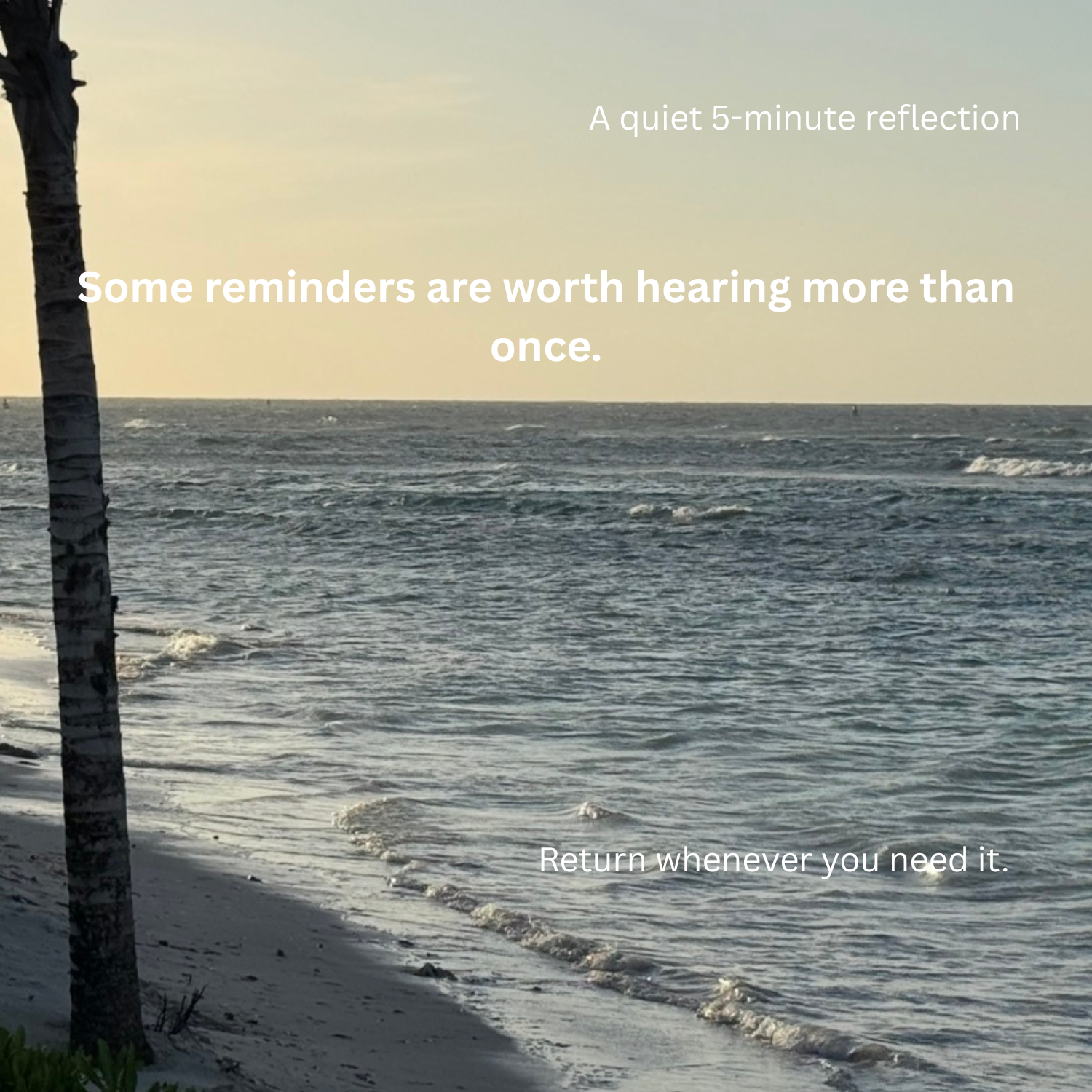 Worth vs. Behavior | Guided Therapist Audio on Self-Worth & Shame